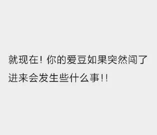 凤凰V12安卓汉化版常见问题解答，轻松解决烦恼