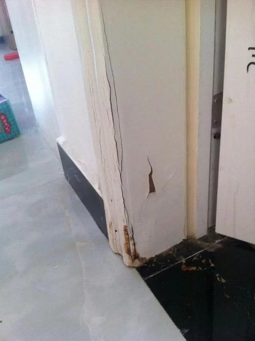 凯特最新版本怎么安装最简单？手把手教你轻松搞定！