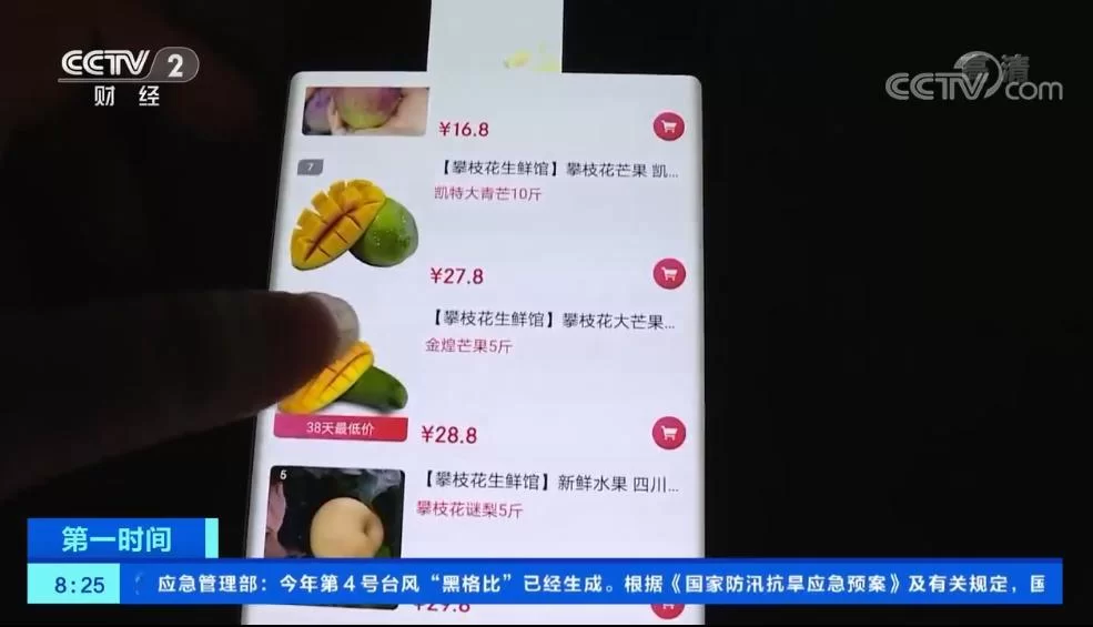 凯特最新版本是多少？官方渠道下载和升级步骤详解！