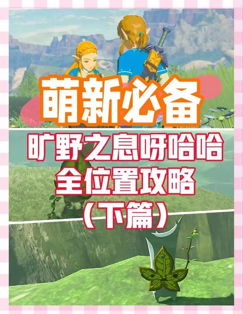 凯特游戏攻略哪个最全？萌新必备少走弯路！