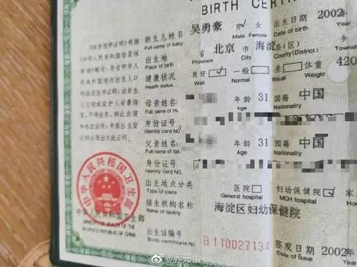 出生证明安卓汉化哪个版本好？大神推荐稳定流畅版！