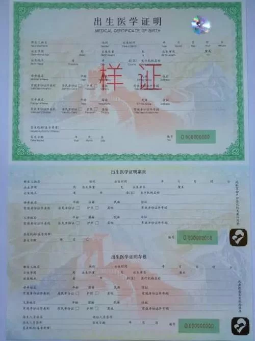 出生证明安卓汉化哪个版本好？大神推荐稳定流畅版！
