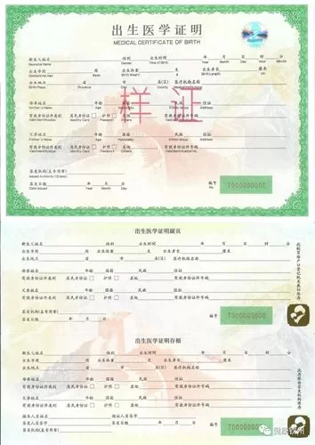 出生证明官网是哪个？认准这个官方平台不迷路！