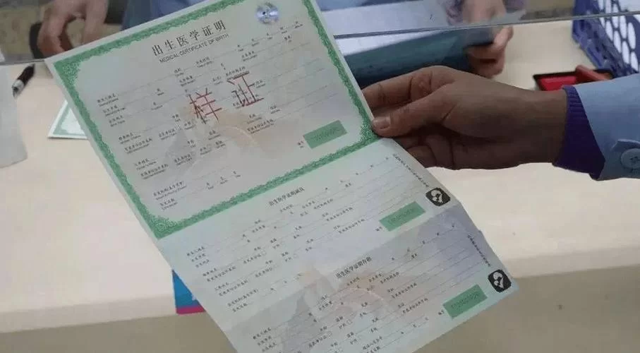 出生证明汉化版最新更新内容哪里找？官方信息最靠谱！