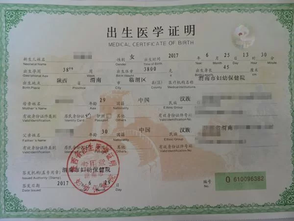 出生证明汉化版最新更新内容哪里找？官方信息最靠谱！