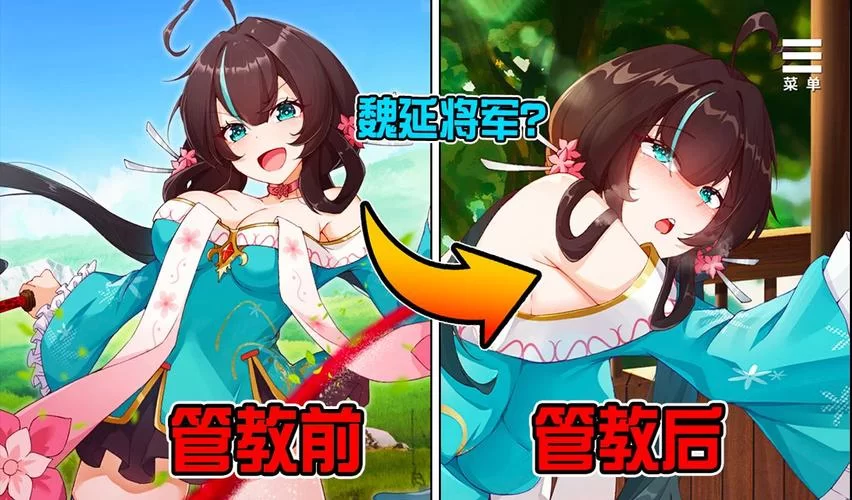 刘婵养成计划版本大全哪个好？新手看这篇就够了！