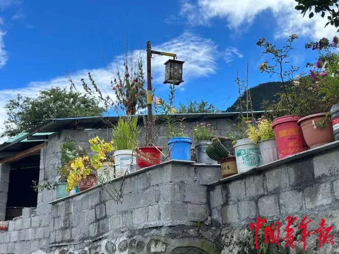 刚玩边境之村最新版本？新手快速上手指南！
