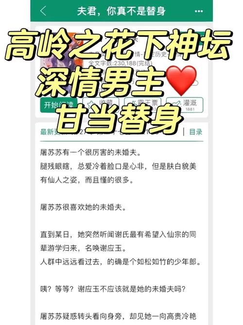 别再找了！琴瑟完结官方正式版下载最新版这里就能直接下！