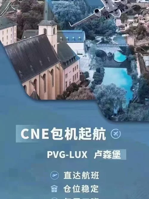 加藤的新生活在哪下载？这里有几个靠谱渠道分享！