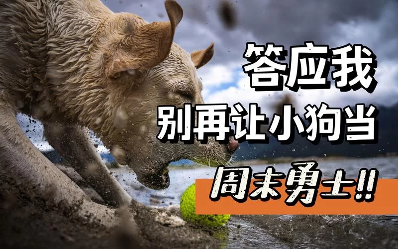 勇士,别只顾着刷塔最新版本是多少？最新信息都在这儿！