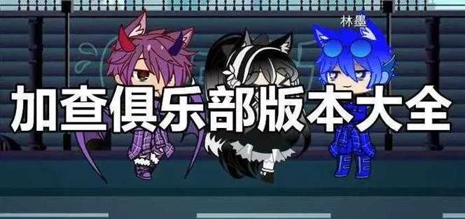 双人会所最新版本是多少？哪里能找到正确的版本号？