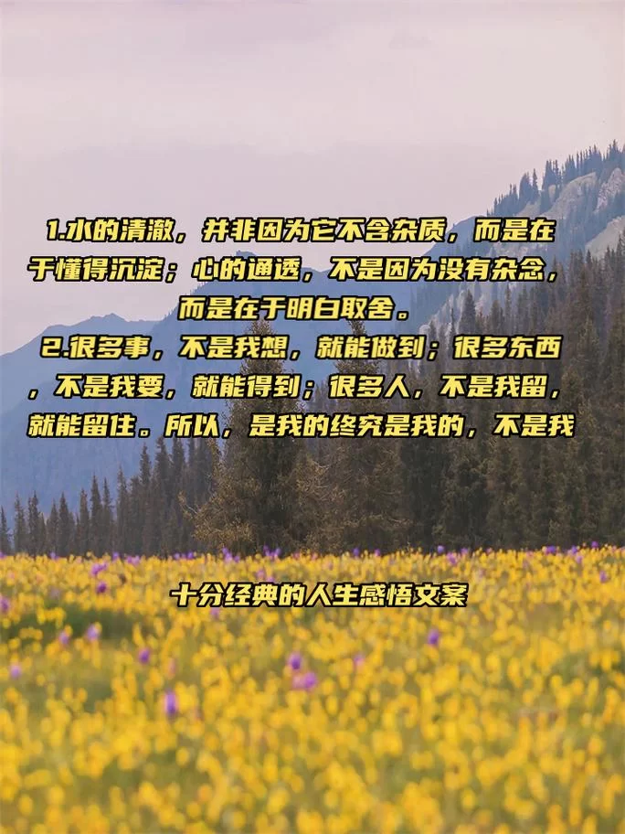 反弹人生官网是做什么的？一篇文章让你彻底明白！