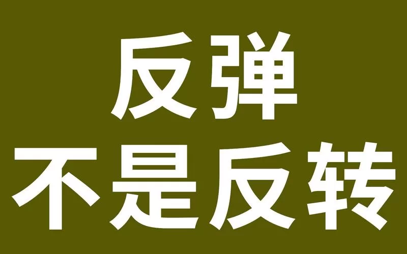反弹人生官网是做什么的？一篇文章让你彻底明白！