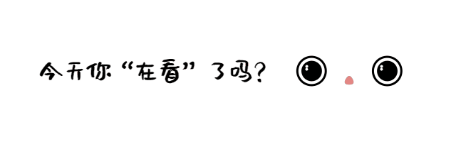 哪里能找到小野猫N上游戏官网？官方入口地址看这里！