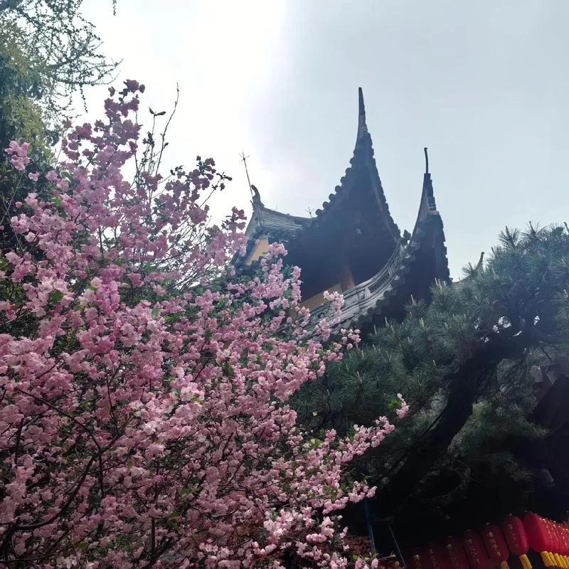 回归本源如何下载才最安全？官方正版下载方法分享。