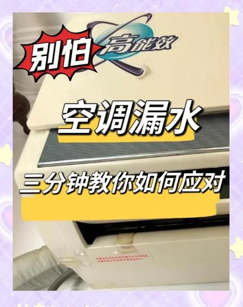 夏日炎炎在哪下载安装包？手把手教你快速搞定！