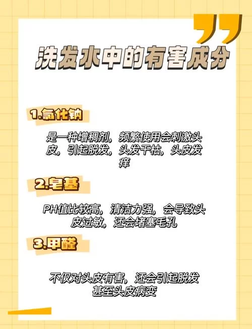 夏日炎炎版本大全怎么挑？避坑指南让你选对不选贵！