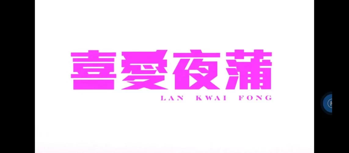 夜蒲觅爱游戏介绍：为什么大家都爱玩这款寻爱游戏？亮点大揭秘！