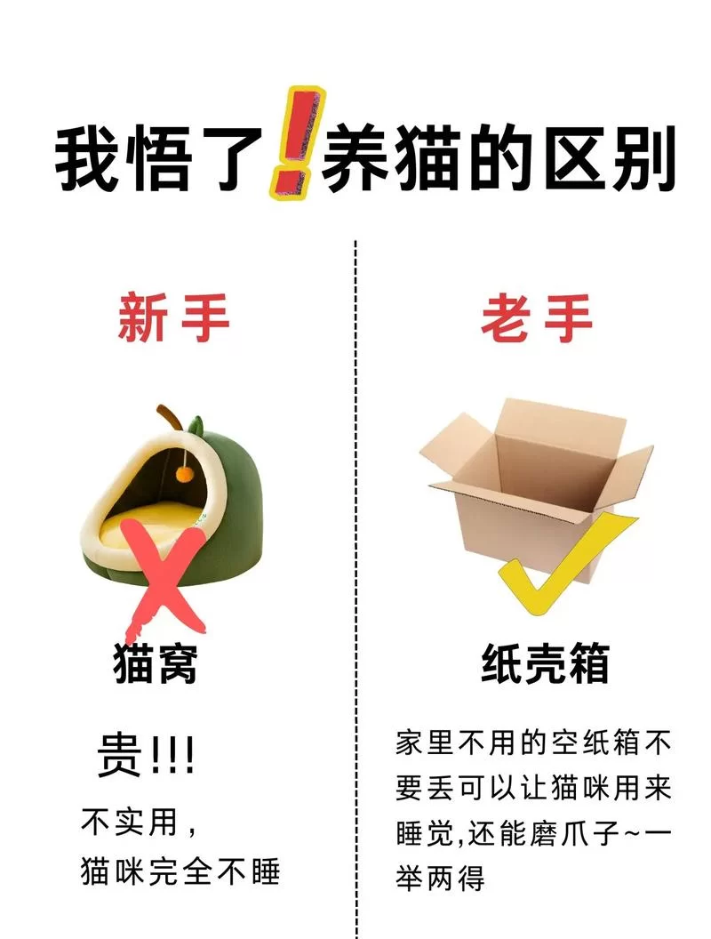 失忆汉化版最新更新内容全解析！新手老手都来看看！