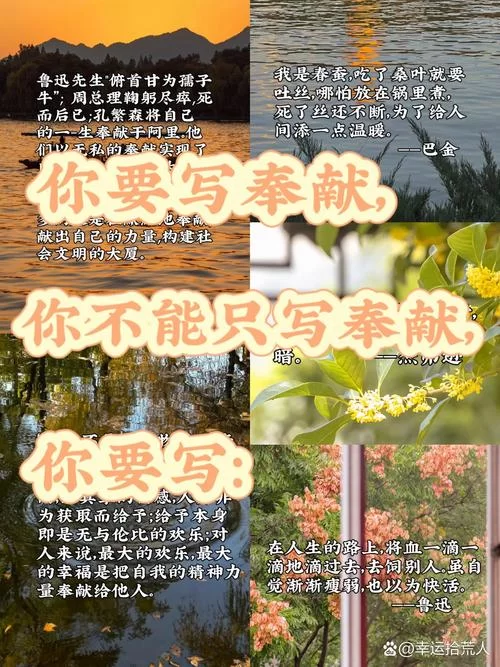 奉献的困境最新版本有哪些看点？(一篇文章快速掌握)
