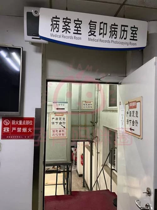 如何下载出生证明官方正式版下载最新版？官方教程来了！