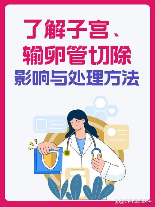 妇科医生最新版本是多少？升级后体验更好用了吗？