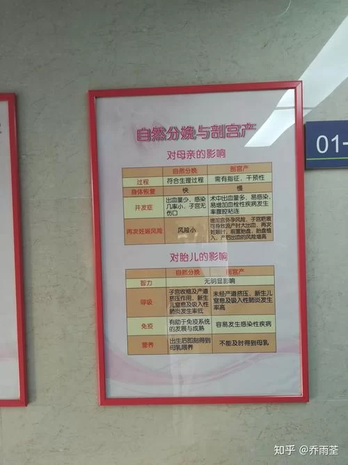 妇科医生游戏下载哪个版本好？新手玩家看这里！