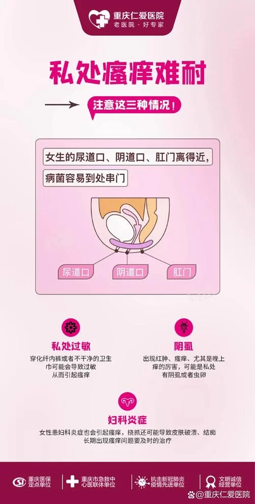 妇科医生绅士游戏怎么玩？超详细图文攻略让你轻松上手。