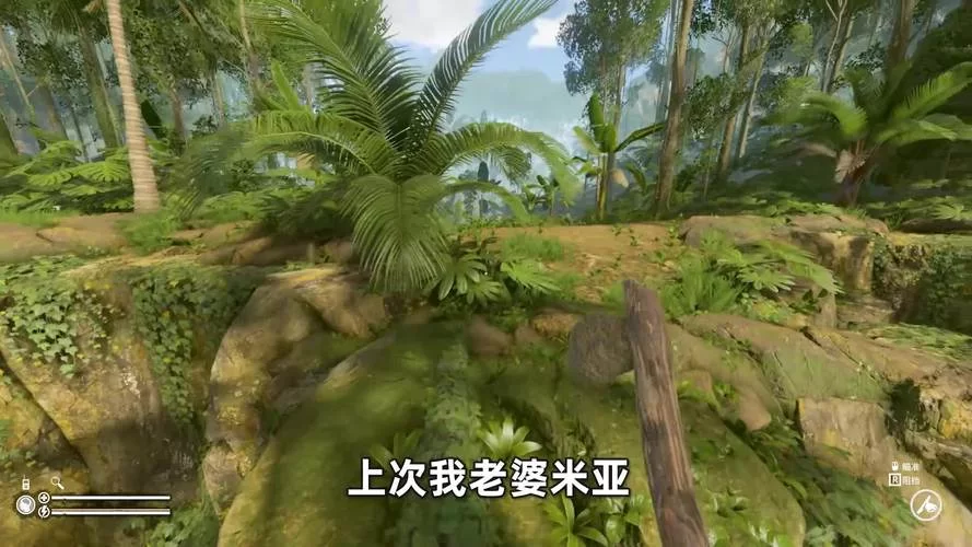 妻子历险记在哪下载中文版？玩家分享几个能下载的地址