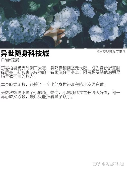 妻子历险记游戏介绍入门指南：轻松上手体验冒险乐趣！