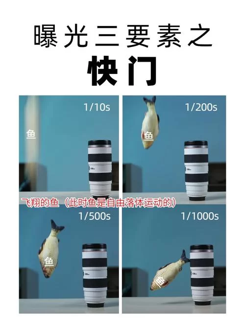 姐妹花如何下载（内含详细步骤新手也能看懂）