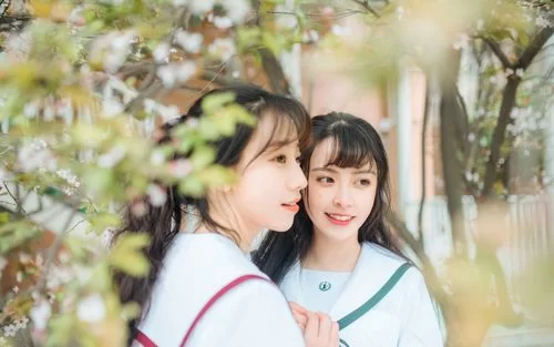 姐妹花如何下载（内含详细步骤新手也能看懂）