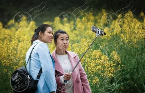 姐妹花官网是真的吗？(官方平台安全访问有保障)