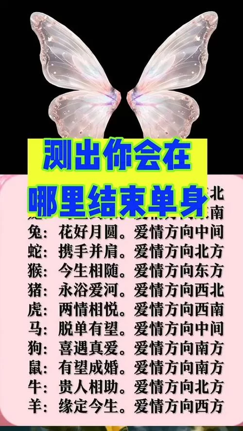 实力单身版本大全怎么选？高手教你挑最合适的！