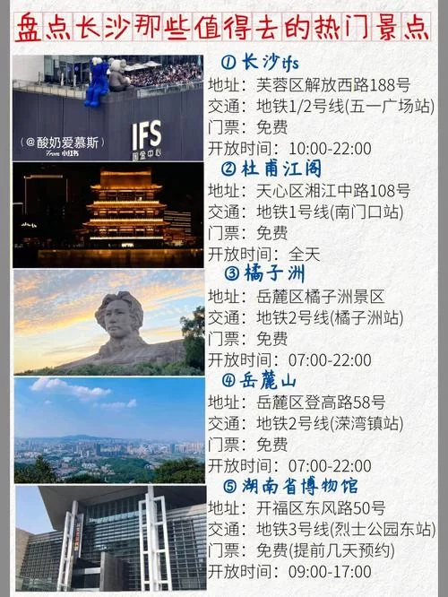 家庭数女官方网站是干嘛的？(你想知道的这里都有介绍！)