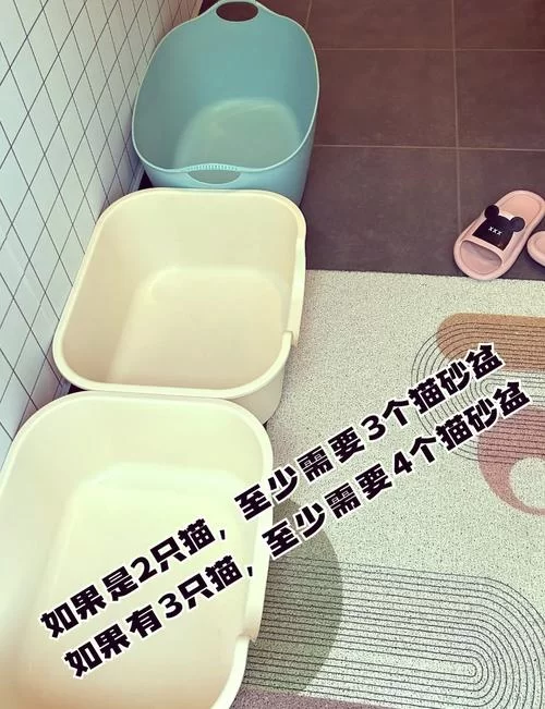家庭的秘密如何下载最省心？大神推荐的下载渠道在这。