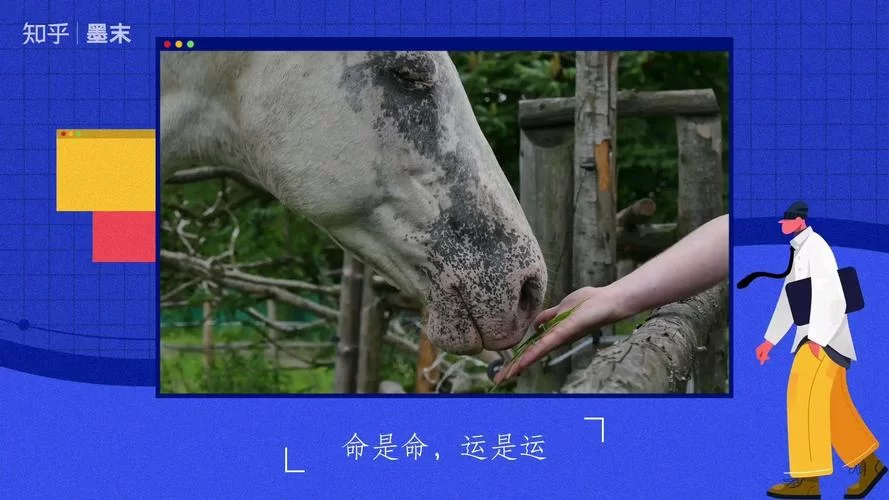 宿命论下载地址哪里能找到？几个好用的资源分享给你！