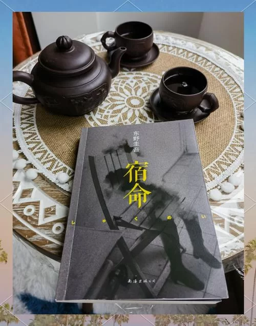 宿命论官方网站看什么？命运的秘密都在这里揭晓！