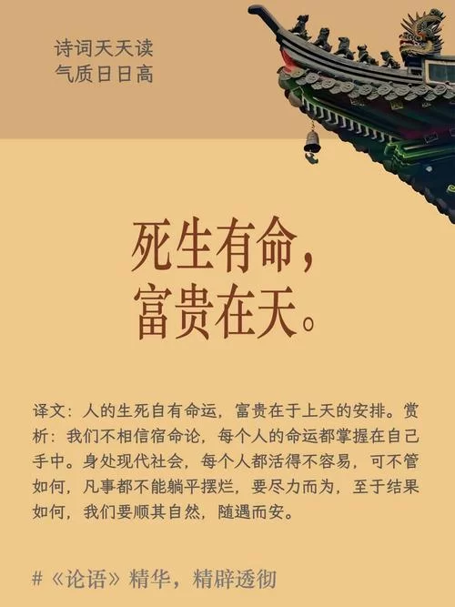 宿命论官方网站看什么？命运的秘密都在这里揭晓！
