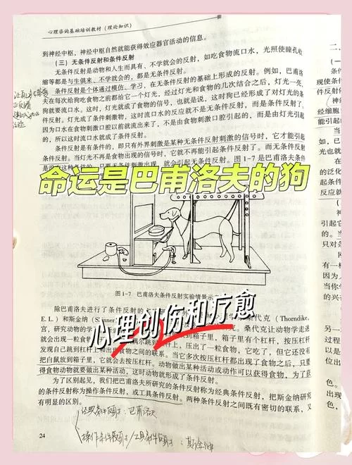 宿命论最新版本讲了啥？看完这个你就明白了！