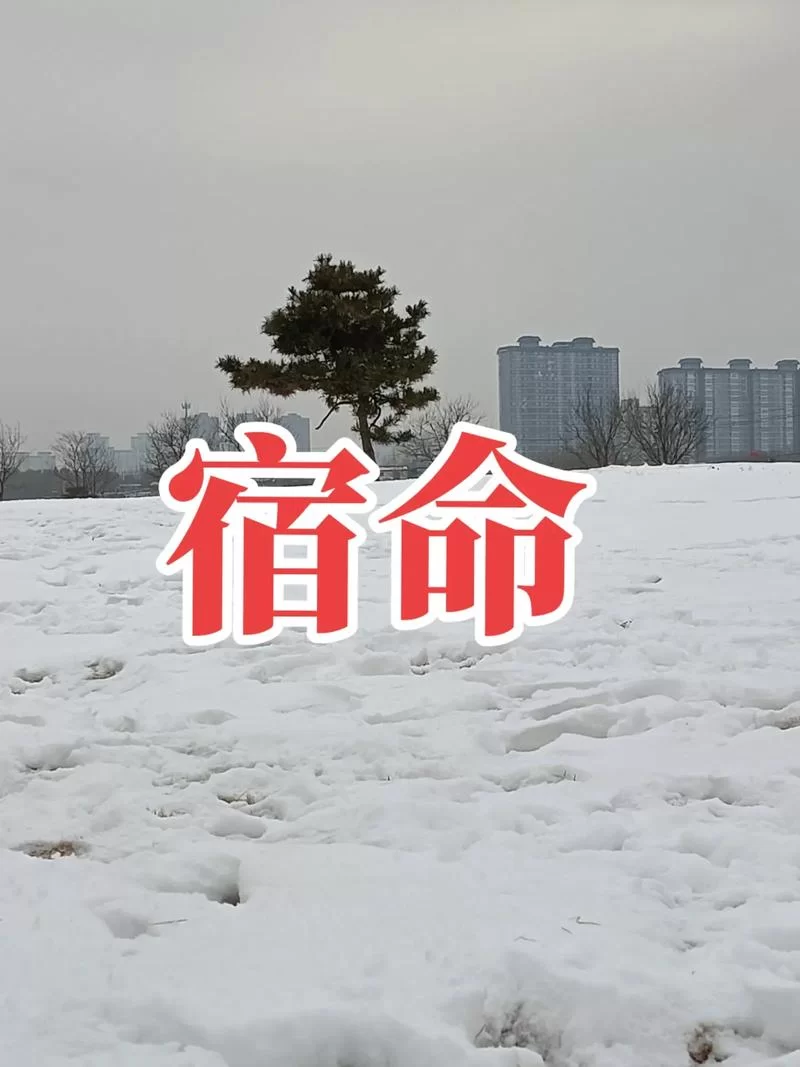 宿命论版本大全哪个更靠谱？对比分析帮你找到答案！
