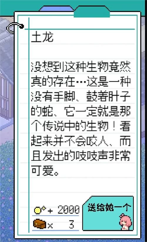 寻找夏日的宝物游戏官网怎么进？老玩家告诉你正确地址！