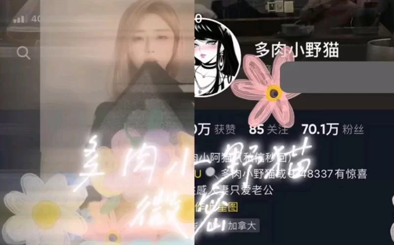 小野猫N上安卓去哪里下载？这几个安全渠道帮你轻松搞定。