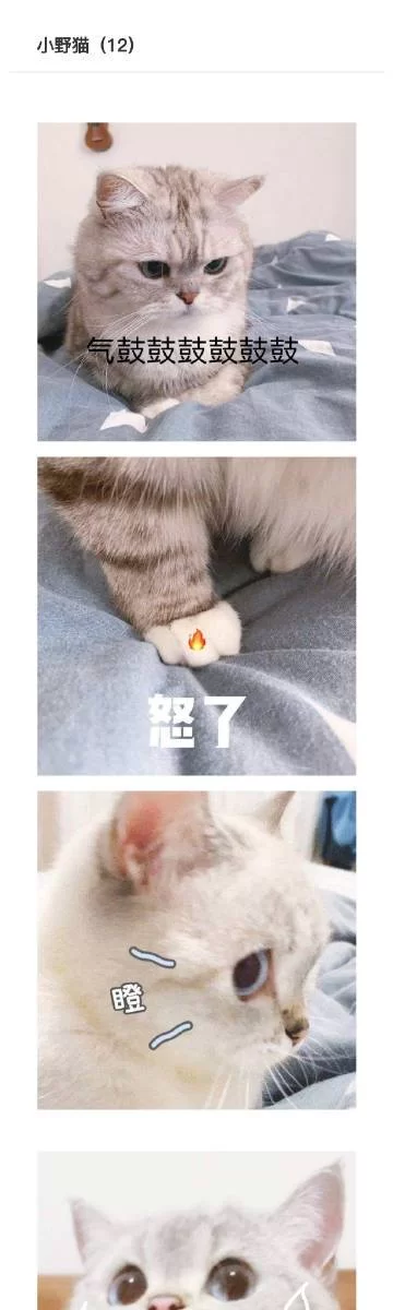 小野猫N上更新地址又变了？别急，看这里有最新版！