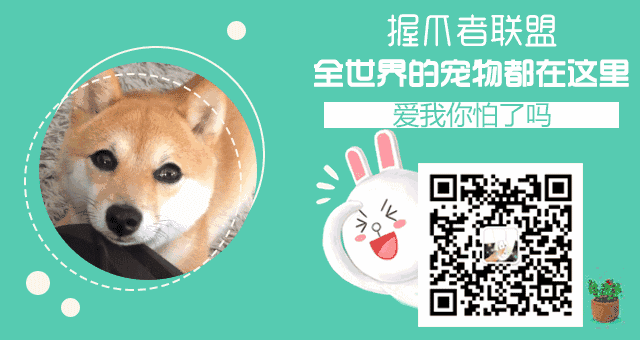 小野猫N上更新地址又变了？别急，看这里有最新版！