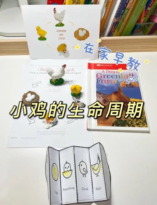 小鸡游戏游戏介绍是什么？全面解析让你轻松入门！