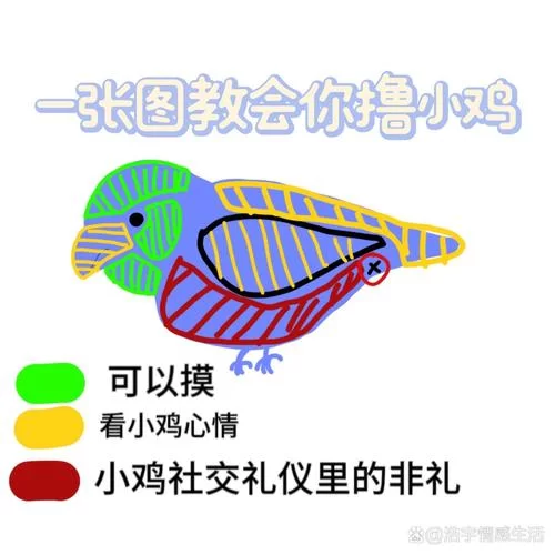 小鸡游戏游戏攻略有哪些技巧？老玩家分享速成秘诀！