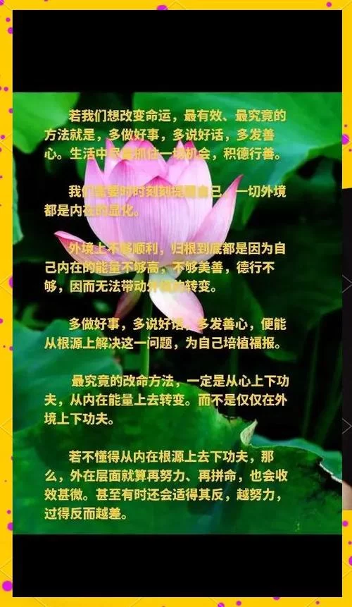 就上改变生活的选择官网，这里有超多方法助你改变命运！