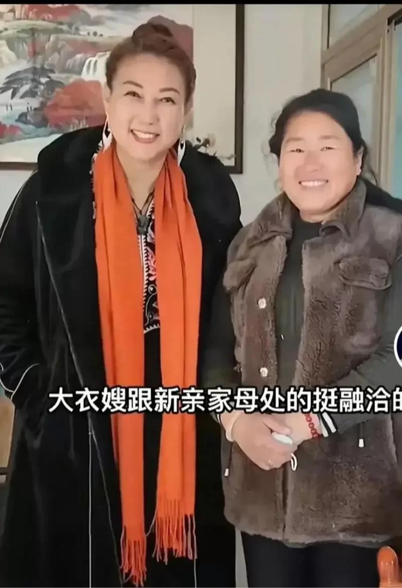 岳母最新版本是多少？看看新变化相处更融洽！