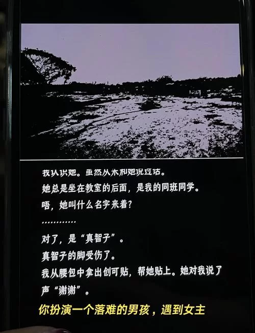 废土世界版本大全：生存秘籍，助你成为末日大佬！
